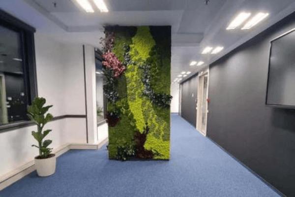 Bioboard office acoustic panels